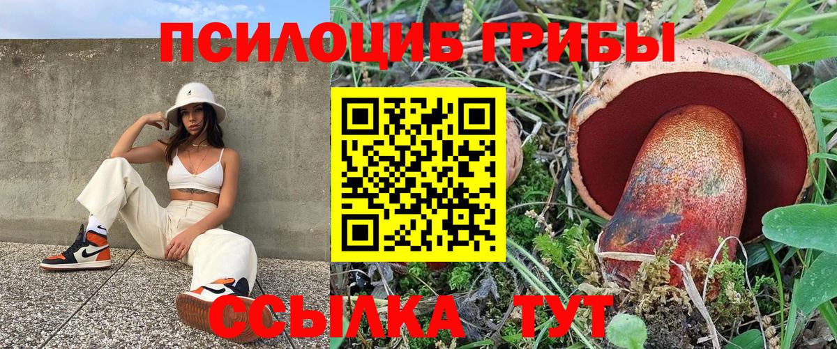 Галлюциногенные грибы Magic Shrooms  Галлюциногенные грибы GOLDEN TEACHER  Вход с VPN  Мегион 