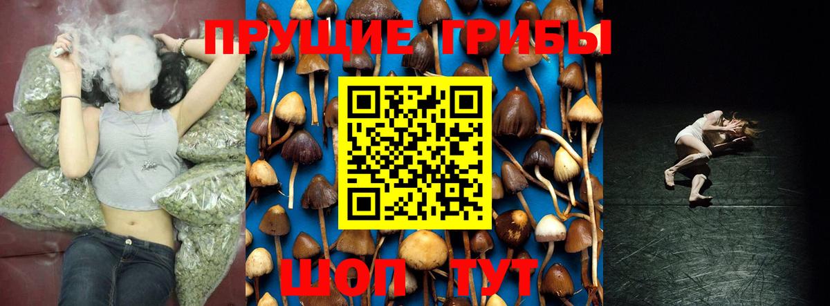 Галлюциногенные грибы Magic Shrooms Мегион
